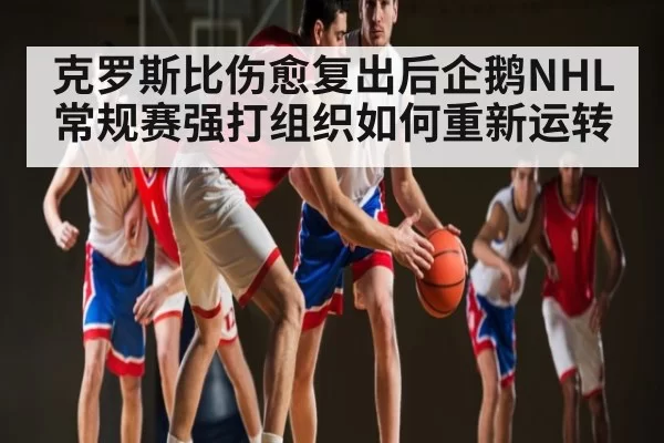 克罗斯比伤愈复出后企鹅NHL常规赛强打组织如何重新运转